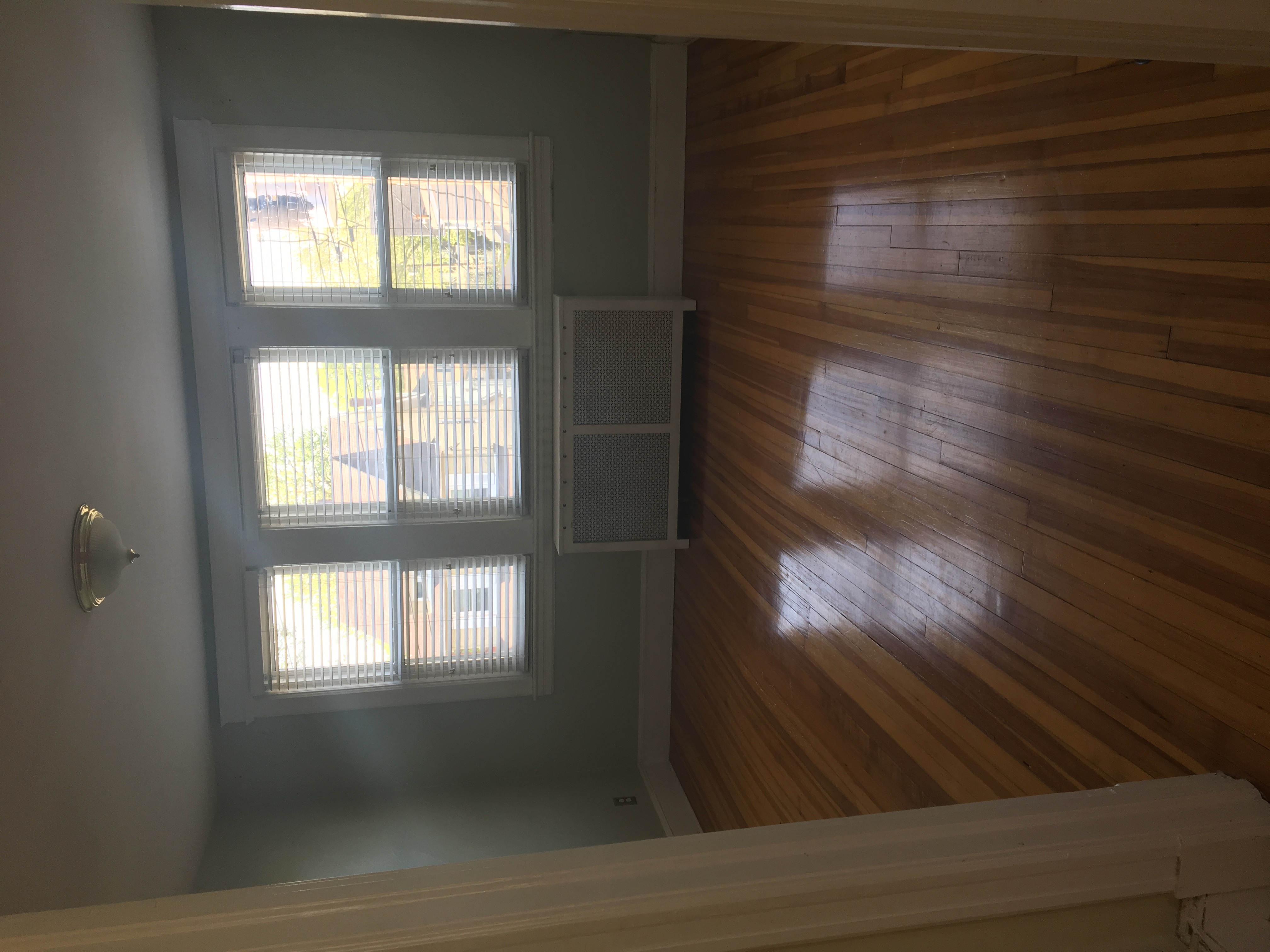 Curtis Avenue, Staten Island