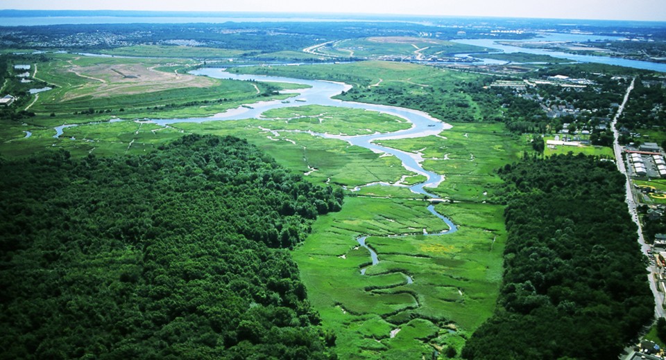 Freshkills Park