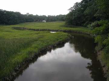 Lemon Creek Park